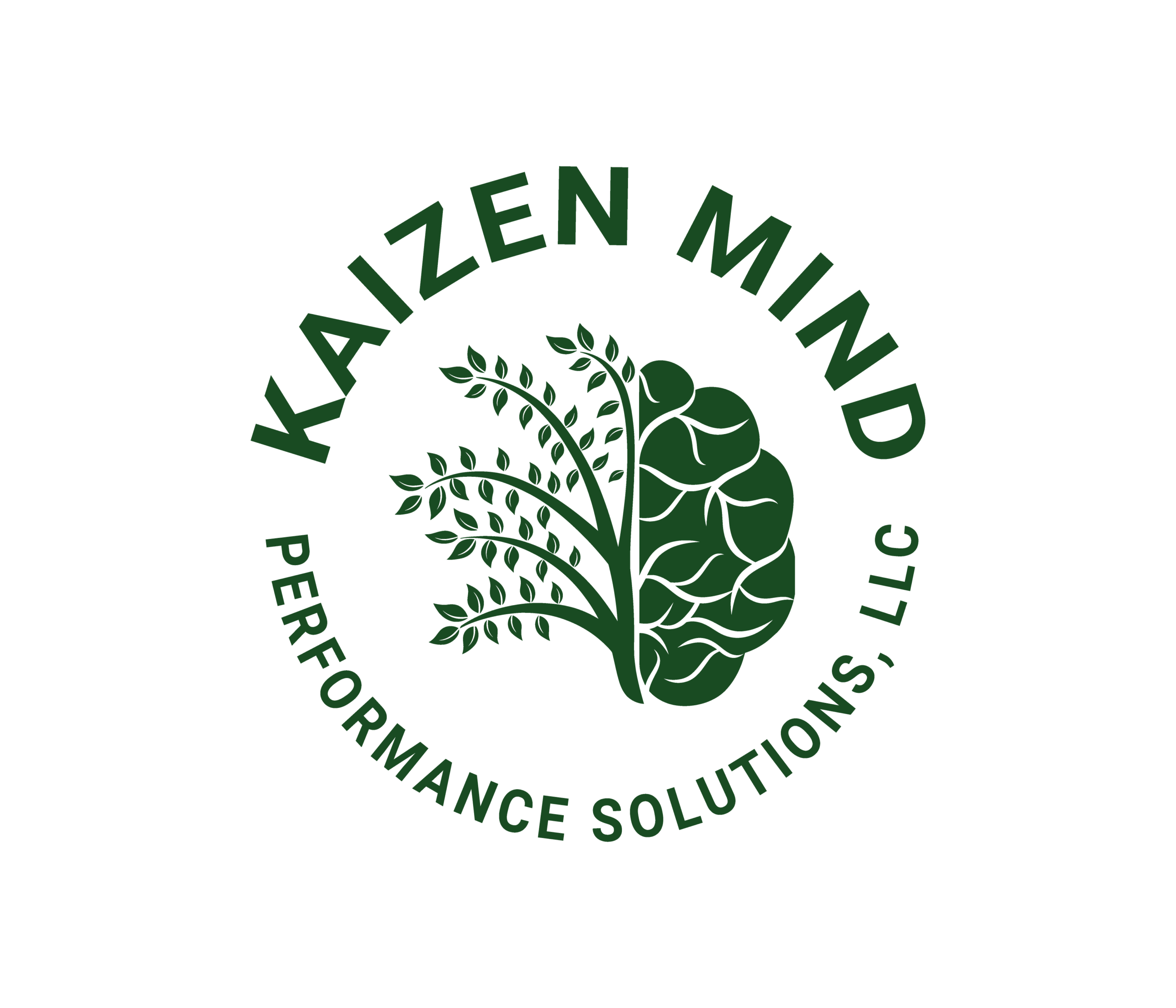 Kaizen Mind Performance Solutions, LLC